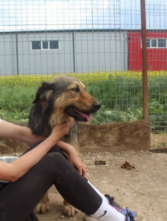 MAYLA - selbstbewusst und aktiv