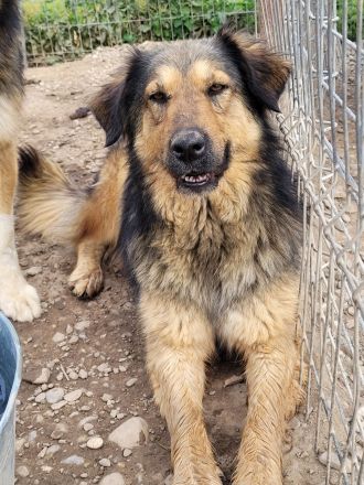 MAYLA - selbstbewusst und aktiv