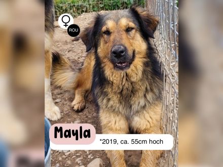 MAYLA - selbstbewusst und aktiv