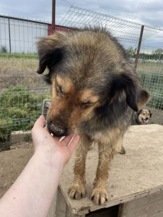 MAYLA - selbstbewusst und aktiv