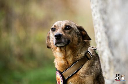 Wer zeigt Nice, wie schön das Leben ist?