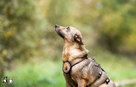 Wer zeigt Nice, wie schön das Leben ist?