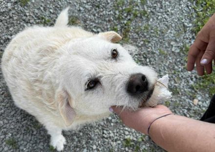 Alterswohnsitz für Claudius gesucht