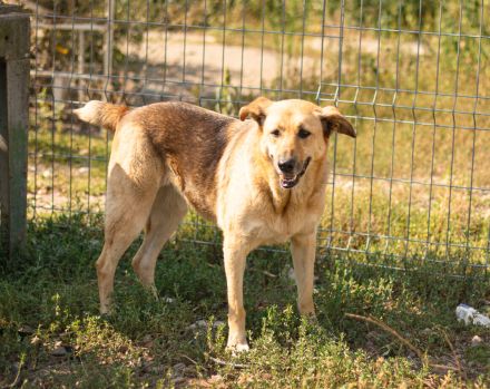 Luna sucht ihr großes Glück
