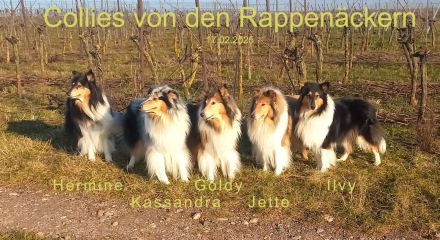 von den Rappenäckern