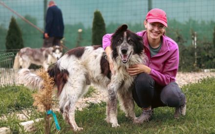 Liebenswerter Balu mit dem frechen Stehohr