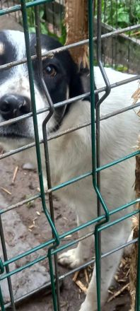 Wem geht Perrys Blick mitten durchs Herz?