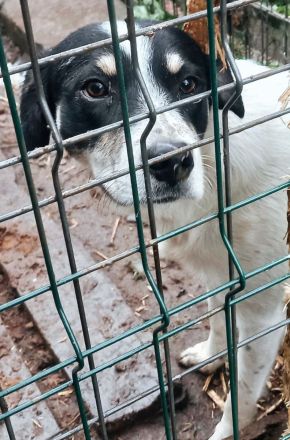 Wem geht Perrys Blick mitten durchs Herz?