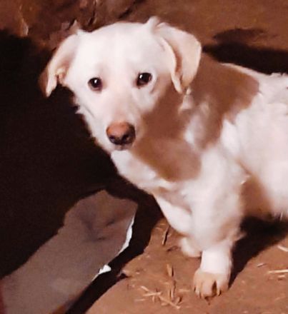 Philipp ist zur Ausreise bereit