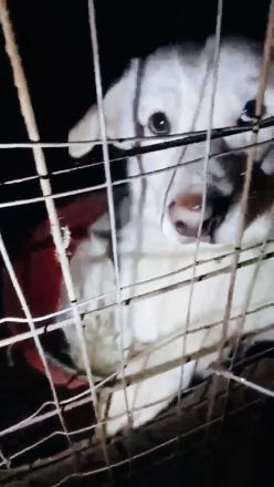 Philipp ist zur Ausreise bereit