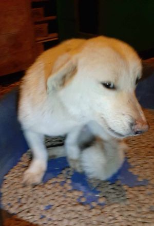 Philipp ist zur Ausreise bereit