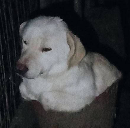 Philipp ist zur Ausreise bereit