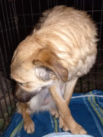 Resi wartet auf dich