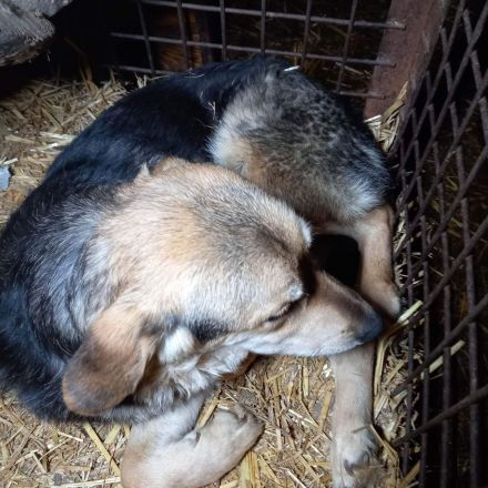 Wer verliebt sich in Ricky?