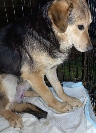 Wer verliebt sich in Ricky?