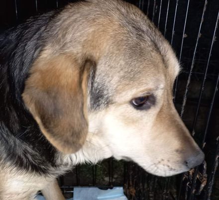 Wer verliebt sich in Ricky?