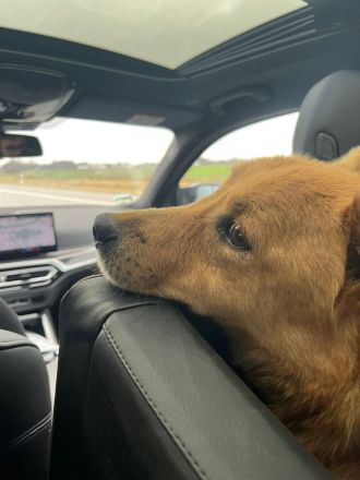 Kleiner SIMON mir großem Herz