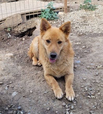 Kleiner SIMON mir großem Herz