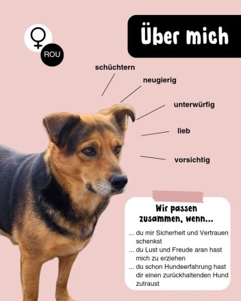 Sensible CHARLIE sucht ihre Menschen