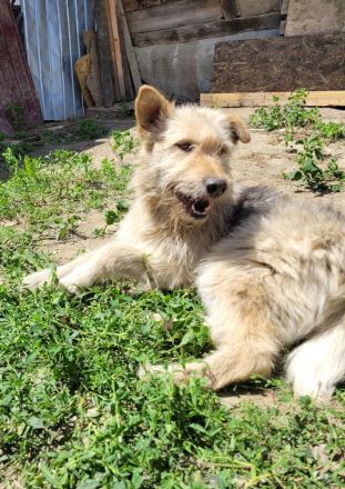 DAISY sucht ihr liebevolles Zuhause