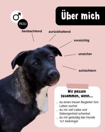 Schüchterner THEO - alleine zurück geblieben