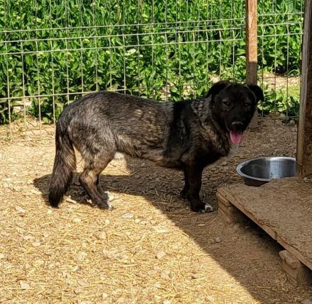 Schüchterner THEO - alleine zurück geblieben