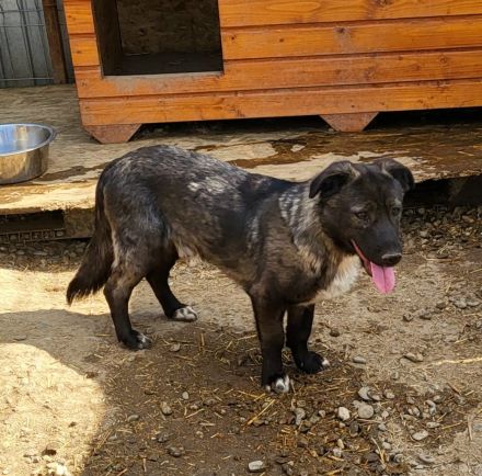 Schüchterner THEO - alleine zurück geblieben