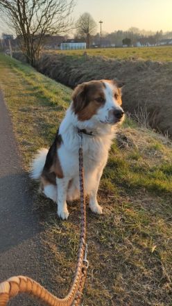 BAJU mit Charakter und Herz