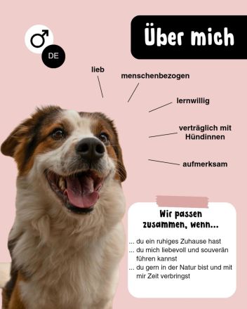 BAJU mit Charakter und Herz