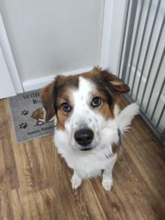 BAJU mit Charakter und Herz