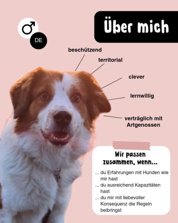 BAJU mit Charakter und Herz