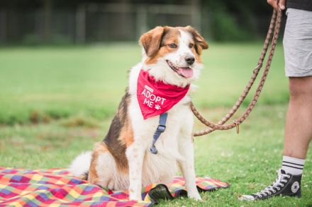 BAJU mit Charakter und Herz