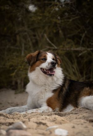 BAJU mit Charakter und Herz