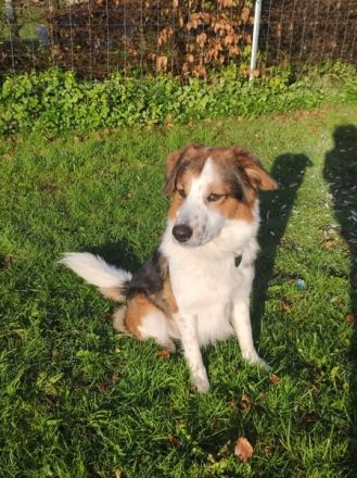 BAJU mit Charakter und Herz