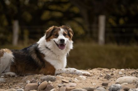 BAJU mit Charakter und Herz