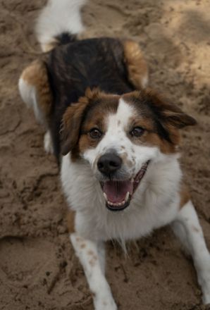 BAJU mit Charakter und Herz