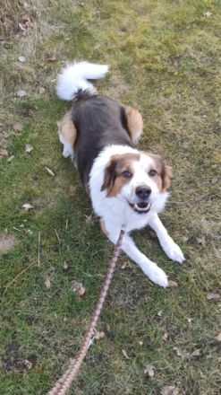 BAJU mit Charakter und Herz