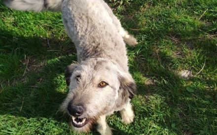 Rosalie erobert dein Herz im Sturm