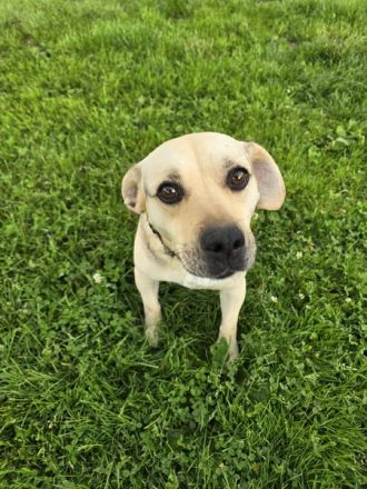 SUNNY Kämpferherz sucht Ankerplatz