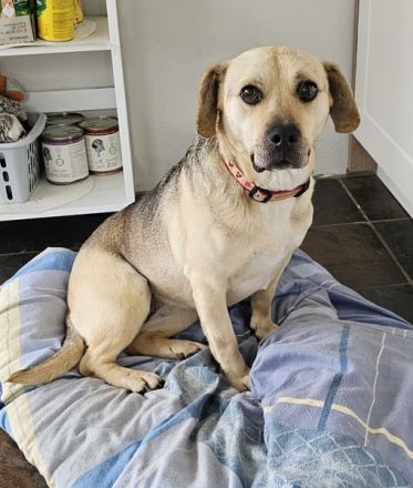 SUNNY Kämpferherz sucht Ankerplatz