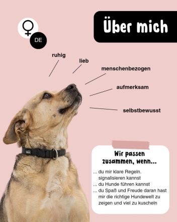 SUNNY Kämpferherz sucht Ankerplatz