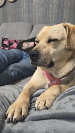 SUNNY Kämpferherz sucht Ankerplatz