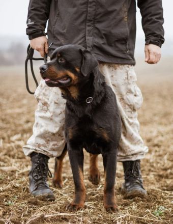 Raul, toller Naturbursche sehnt sich nach Eurer Nähe