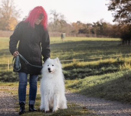 Über Balou – altes Spiel – neues Glück…