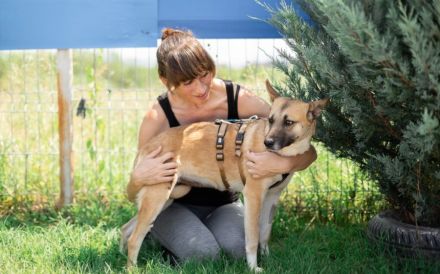 Fira träumt vom Ankommen - gibst du ihr eine Chance auf ein neues Leben?