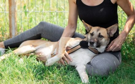 Fira träumt vom Ankommen - gibst du ihr eine Chance auf ein neues Leben?