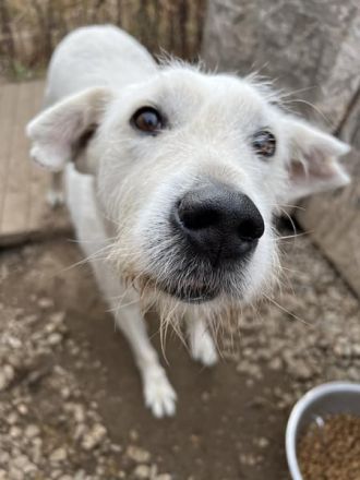 EDDY unser liebevoller Opa