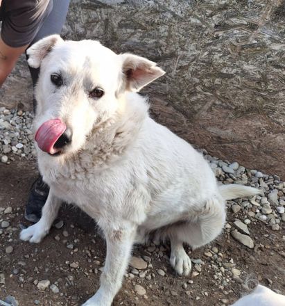 EDDY unser liebevoller Opa