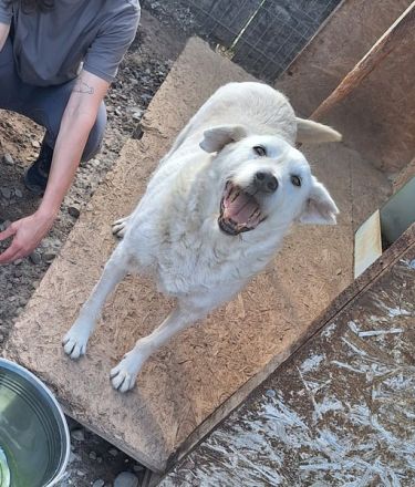 EDDY unser liebevoller Opa