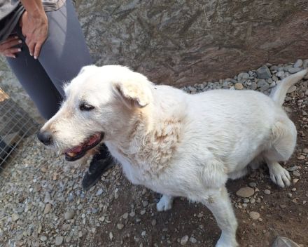 EDDY unser liebevoller Opa